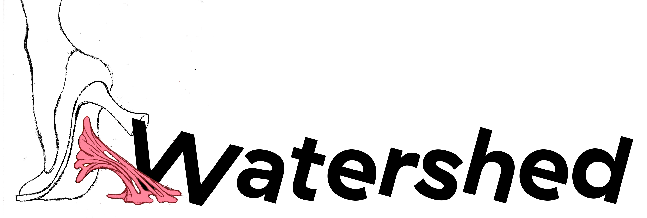 Logo van Stichting Watershed